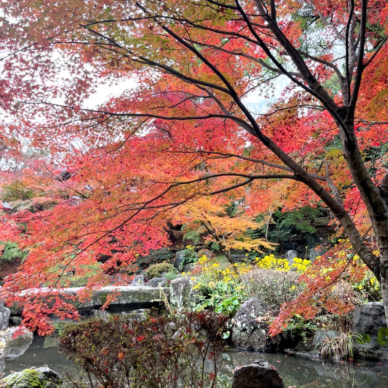 京都長岡天満宮 紅葉