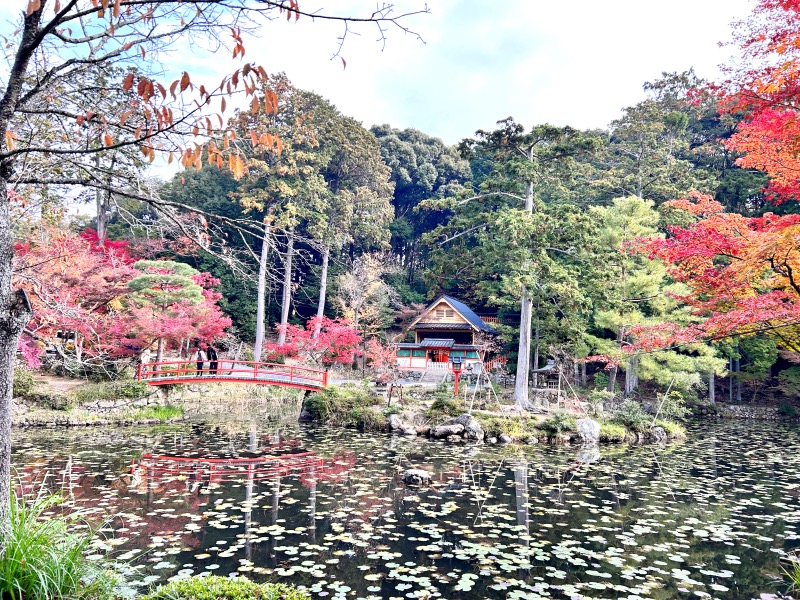 大原野神社 紅葉 2023